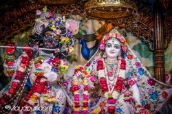 Daily Darshan