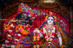 Daily Darshan
