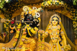 Daily Darshan