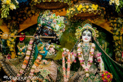 Daily Darshan
