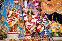 Daily Darshan