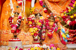 Daily Darshan