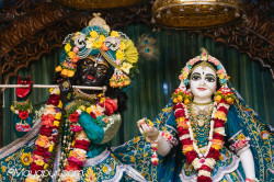 Daily Darshan