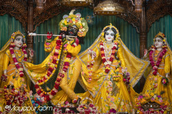 Daily Darshan