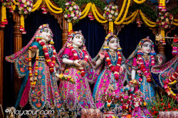Daily Darshan