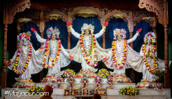 Daily Darshan