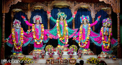 Daily Darshan