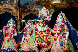 Daily Darshan