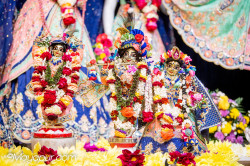 Daily Darshan