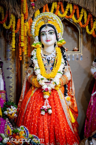 Daily Drashan