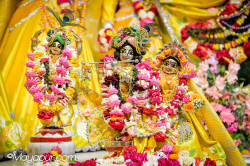 Daily Darshan
