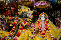 Daily Darshan