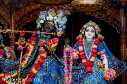 Daily Darshan