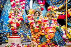 Daily Darshan