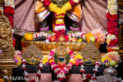 Daily Darshan