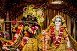 Daily Darshan