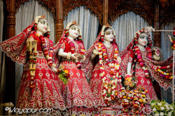 Daily Darshan