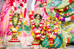 Daily Darshan