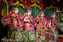 Daily Darshan