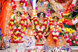 Daily Darshan