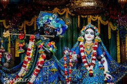 Daily Darshan