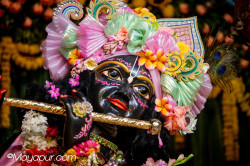 Daily Darshan