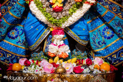 Daily Darshan