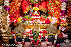 Daily Darshan
