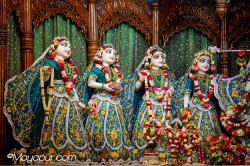 Daily Darshan