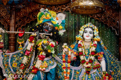 Daily Darshan
