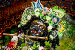 Daily Darshan