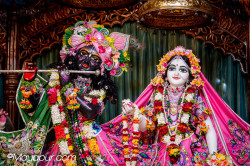 Daily Darshan