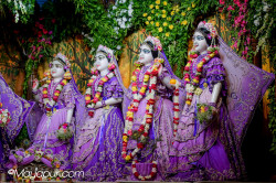 Daily Darshan