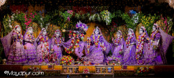 Daily Darshan