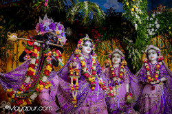 Daily Darshan