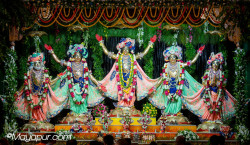 Daily Darshan