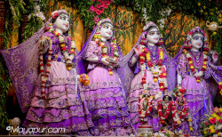 Daily Darshan