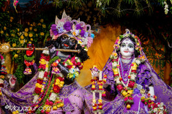 Daily Darshan