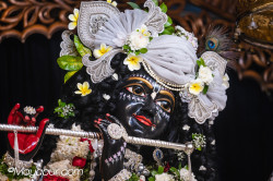 Daily Darshan