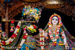 Daily Darshan