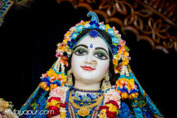 Daily Darshan