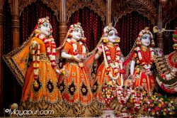 Daily Darshan