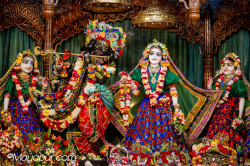 Daily Darshan