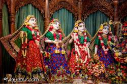 Daily Darshan
