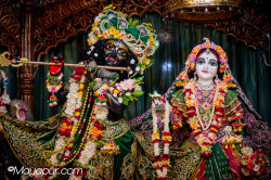 Daily Darshan
