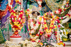 Daily Darshan