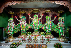 Daily Darshan