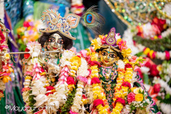 Daily Darshan