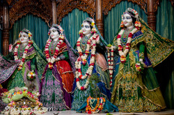 Daily Darshan
