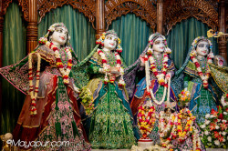 Daily Darshan